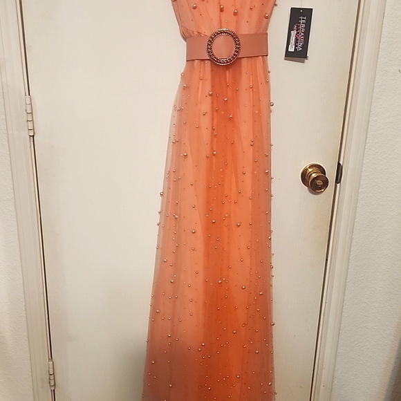 Terramina Dress - Picture 8 of 9